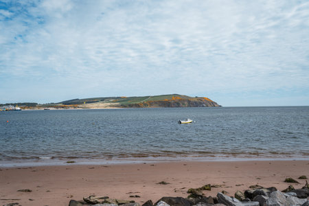 The view is from a sandy beach with rocks in the foreground, looking across the water to a large, grassy headland under a blue sky with white clouds.の写真素材