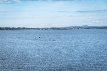 View across a wide coastal firth towards a distant village and hills under a partly cloudy sky. A...