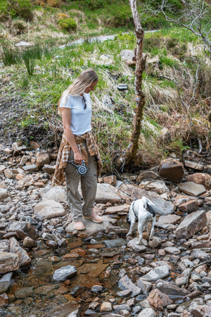 A person with a small black and white dog crosses a rocky stream in a forest. Captures a moment of...