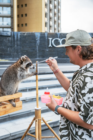 A man wearing a floral shirt and a cap feeds a raccoon with a stick.の写真素材