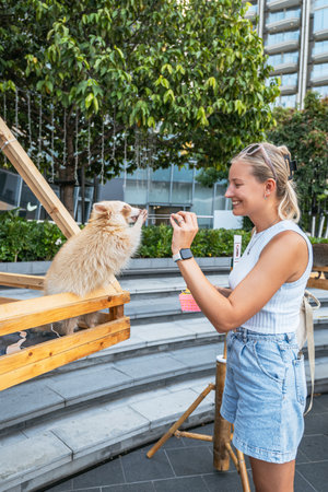 A happy young woman smiling at a pet leucistic raccoon on a wooden stand.