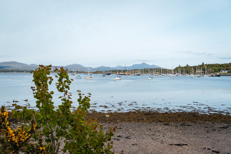 A scenic view of a bay or marina in Scotland, featuring numerous sailboats and a metal bridge over...