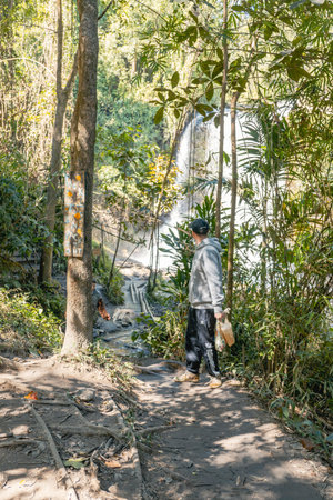 Man in casual clothes exploring tropical nature park trail on sunny dayのeditorial素材