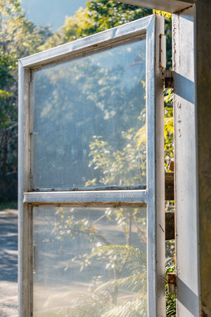 An old glass window reflects soft sunlight with green plants and trees in the background.の写真素材
