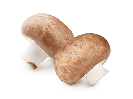 Champignon mushrooms close-up isolated on white backgroundの写真素材