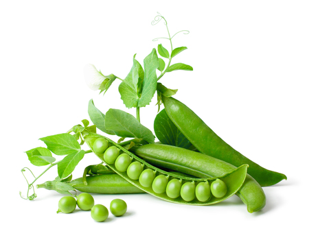 Green peas in pods freshly picked with leaves on white backgroundの写真素材