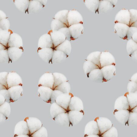 Seamless cotton pattern on grey backgroundの写真素材