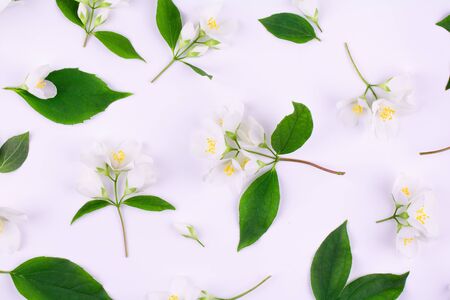 Floral pattern of jasmine flowers. Top view, flat layの写真素材