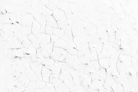 White wall background.