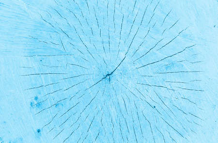 Wood cut texture painted in sky blue. wood-texture.