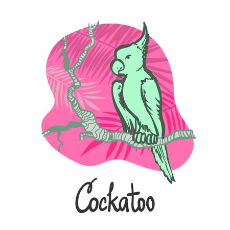 Australian cockatoo parrot sitting on a branch of a tropical tree, on a pink background. Drawn in linear graphics, isolate for banners, cards, posters and sites.のイラスト素材
