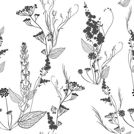 Graphic monochrome seamless pattern with wildflowers flowers, pods, leaves and inflorescences. Elements of plants, their contours and silhouettes are arranged randomly. Vector image on a white backgroundのイラスト素材