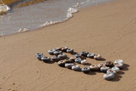 The word Sea written by Shells on the yellow sand. The sea coast or the ocean shore.の写真素材