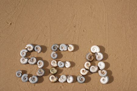 Pattern Sea written by Shells on the yellow sand. The sea coast or the ocean shore.の写真素材