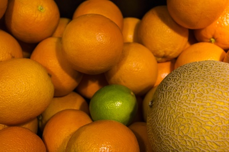 Orange fruits, melon and limeの写真素材