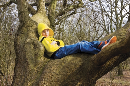 Cute kid sitting high up in a treeの写真素材