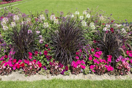 Beautiful colorful flower garden with various flowersの写真素材