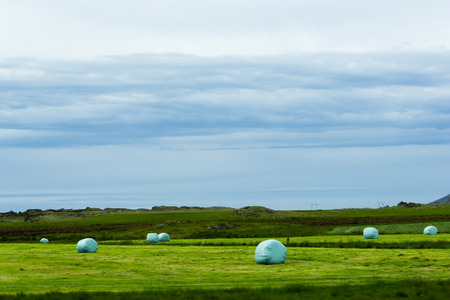Icelandic Rural Landscape. Hay bales in white plastic on the meadow.の写真素材