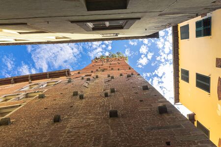 Torre Guinigi is one of the few remaining towers within the city walls of Lucca, Italy.の写真素材