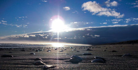 New Zealand Beach close upの写真素材