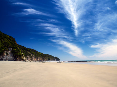 New Zealand Beachの写真素材