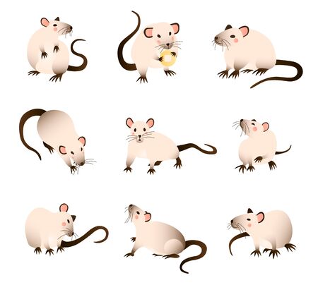 Rats collection. Vector illustration of cartoon, differed colors rats in various poses and actions. Vector illustrationのイラスト素材