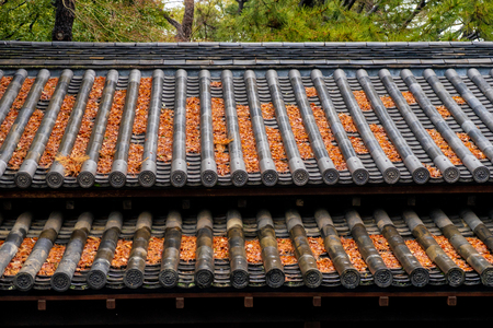 Amazing beautiful temple in japanの写真素材