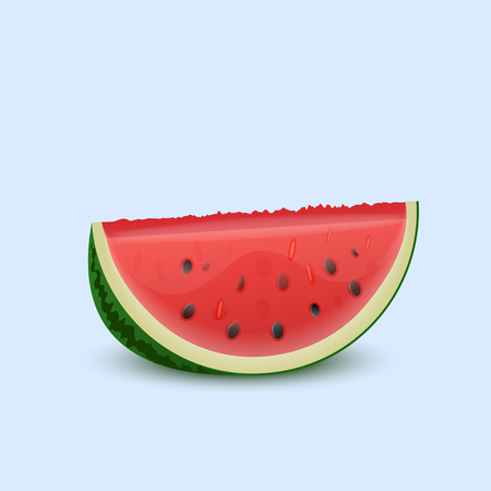 Watermelon on a light background. Vector illustration.のイラスト素材