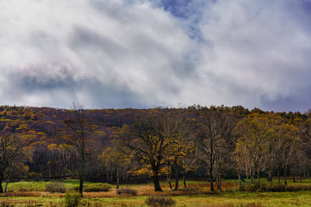 A plateau deepening in autumn dyed with autumn leavesの写真素材
