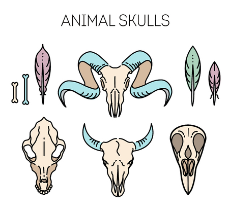icon skull animals headsのイラスト素材