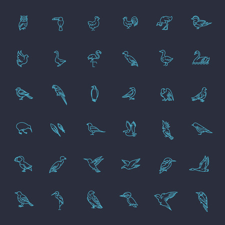 Set of different birds. Vector line iconsのイラスト素材