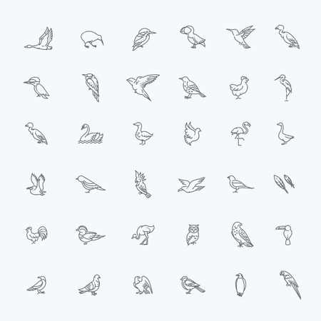 Set of different birds. Vector line iconsのイラスト素材