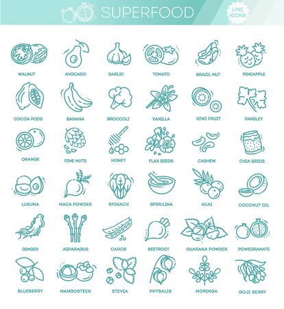 Superfoods line vector icons. Health and dietのイラスト素材