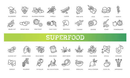 Superfoods line vector icons. Organic superfoodsのイラスト素材