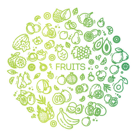 Fruits doodle drawing collection. Vector illustrationのイラスト素材
