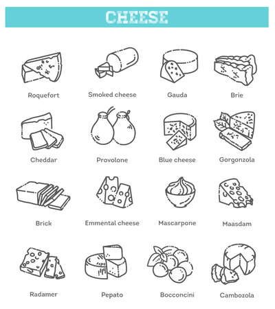Includes various cheese types - maasdam, brie, gouda, mozzarella, parmesan, emmental, camembert and other popular cheesesのイラスト素材