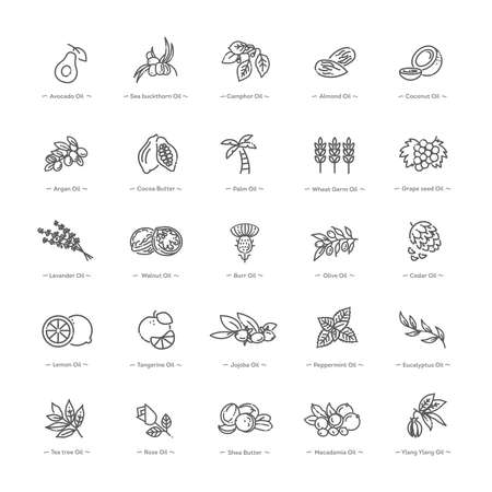 Natural ingredients and oils. Vector line iconsのイラスト素材