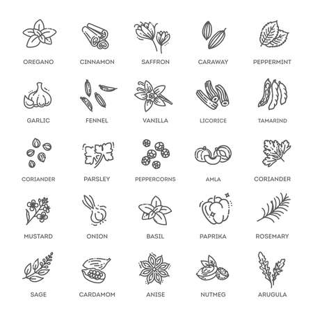Condiment icons set. Outline set of condiment vector iconsのイラスト素材