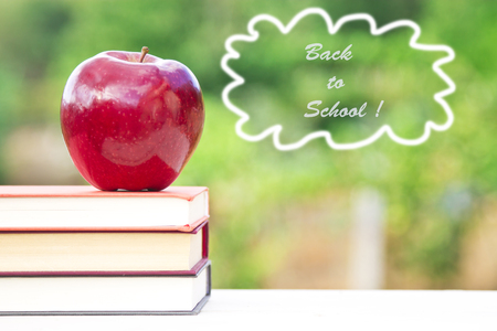concept back to school on green backgroundの写真素材
