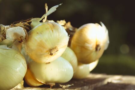 onions on woodenの写真素材