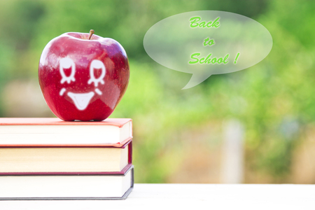 concept back to school on green backgroundの写真素材