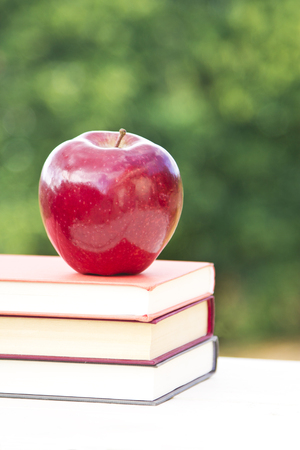 concept back to school on green backgroundの写真素材