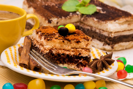 Tiramisu dish with cinnamon and candiesの写真素材