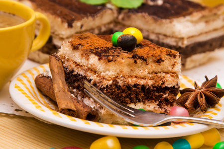 Tiramisu dish with cinnamon and candiesの写真素材