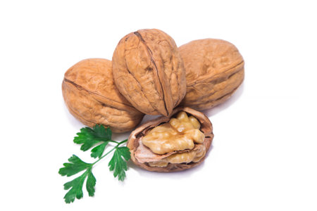 tasty nuts isolated on whiteの写真素材