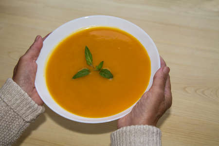 woman holding bowl of vegetable soupの写真素材