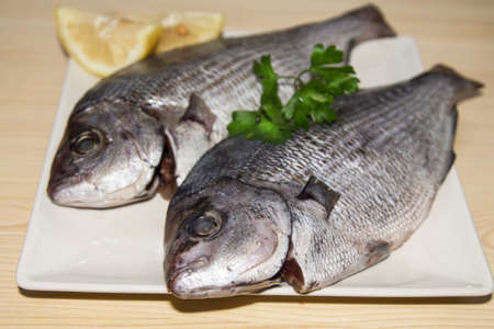 fresh fish with lemon and parsleyの写真素材
