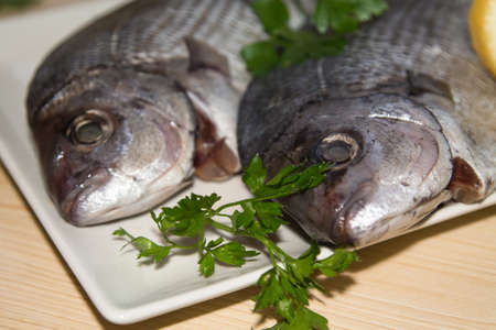 fresh bream or sea bream on the plate with parsleyの写真素材