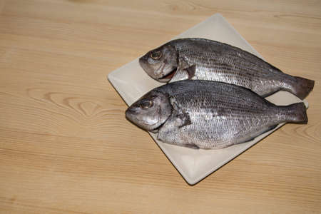 fresh fish, sea bream on the plateの写真素材
