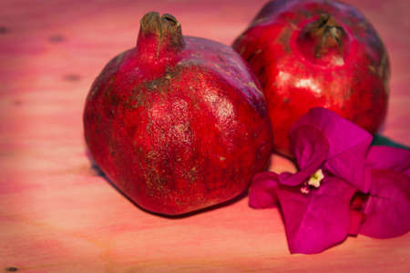 pomegranate fruit on pink backgroundの写真素材